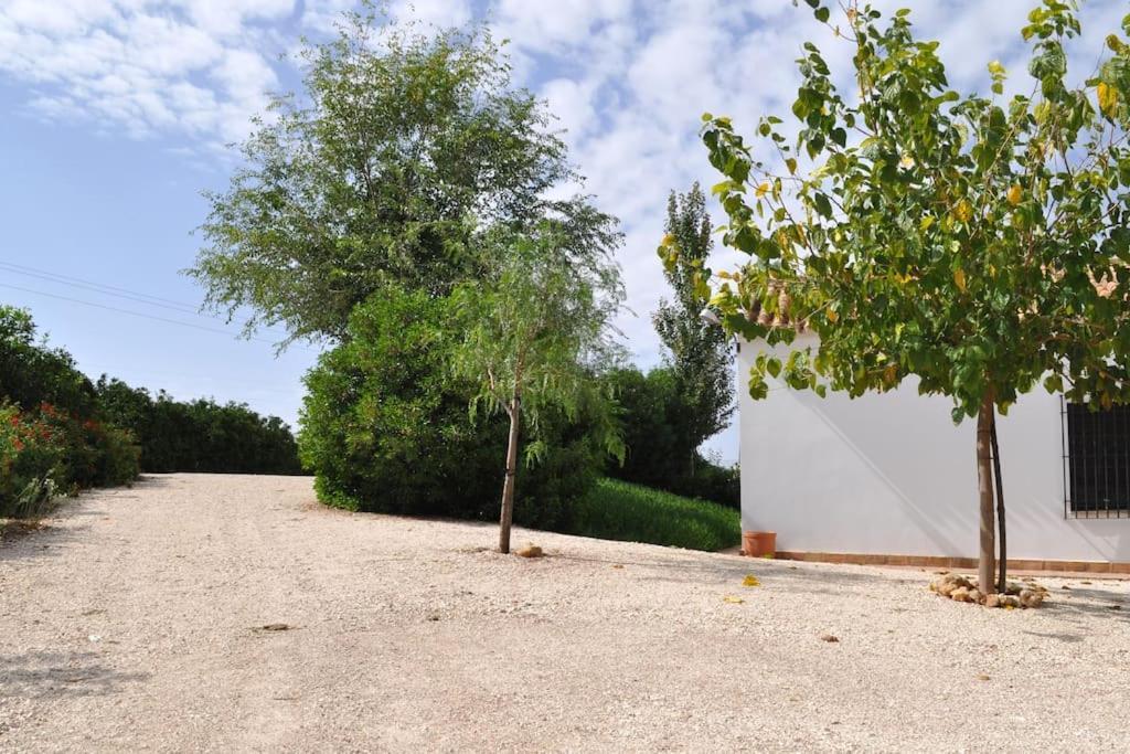 Casa Rural La Linana Córdoba Exterior foto